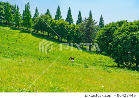 Kuragaike Park, a landscape full of greenery <Toyota City, Aichi Prefecture> Kuragaike Park, a landscape full of greenery <Toyota City, Aichi Prefecture> 90428449