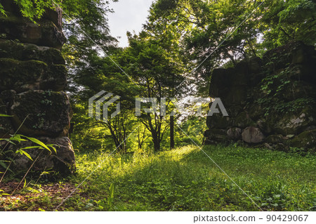 210614 Shiroyama z039 90429067