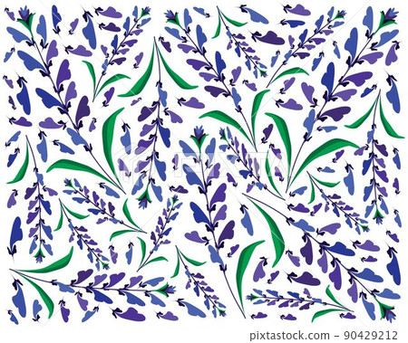 Blue Sage Flowers or Salvia Sclarea Flower Background 90429212