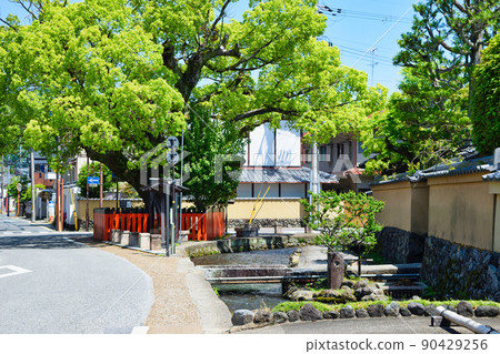 京都上賀茂神社（賀茂別來神社）的最後神社藤木社 90429256