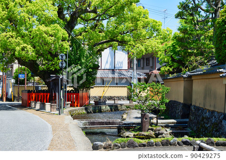 京都上賀茂神社(賀茂別來神社)的最後神社藤木社 京都上賀茂神社(賀茂別來神社)的最後神社藤木社 90429275