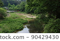 Holiday scenery with nature at Tassusa Citizen's Park in Hongseong-gun 90429430