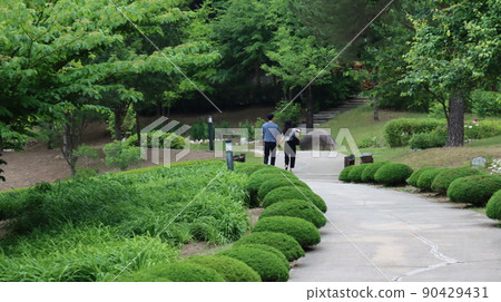 Holiday scenery with nature at Tassusa Citizen's Park in Hongseong-gun Holiday scenery with nature at Tassusa Citizen's Park in Hongseong-gun 90429431