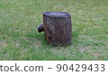 Holiday scenery with nature at Tassusa Citizen's Park in Hongseong-gun 90429433