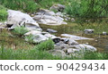 Holiday scenery with nature at Tassusa Citizen's Park in Hongseong-gun 90429434
