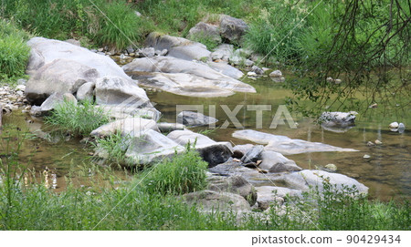 Holiday scenery with nature at Tassusa Citizen's Park in Hongseong-gun 90429434