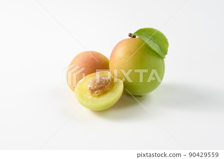 白色背景的李子果實 90429559