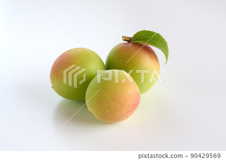 白色背景的李子果實 白色背景的李子果實 90429569