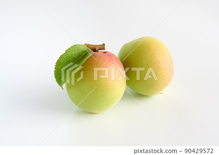 白色背景的李子果實 白色背景的李子果實 90429572