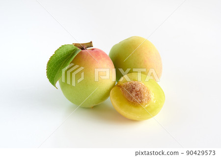 白色背景的李子果實 90429573