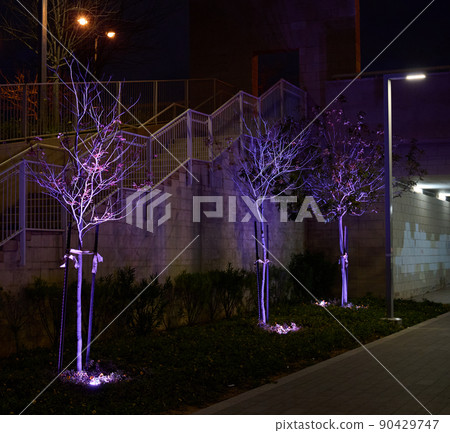 illumination of plants and trees at night in the park. LED lights. 90429747