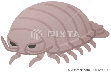 Giant beetle beetle Giant beetle beetle 90429904