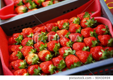 草莓 90430494