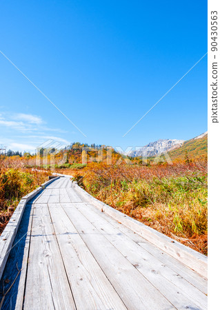 Tsugaike Nature Garden (Autumn) 90430563