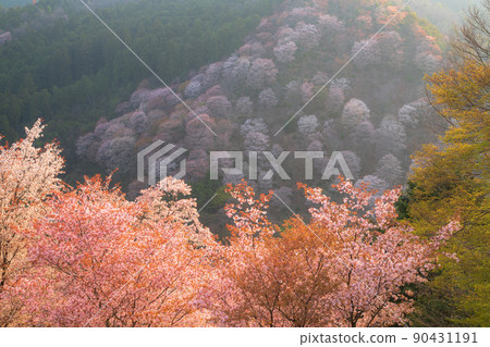 奈良吉野山下千盆 90431191