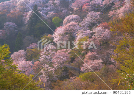 奈良吉野山下千盆 奈良吉野山下千盆 90431195