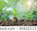 Young plant seedling on stack of coins with soil 90432213