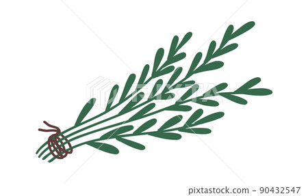 Basil leaves. Sweet art herbs. Vector illustration set. Flat icon Basil leaves. Sweet art herbs. Vector illustration set. Flat icon 90432547