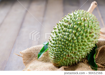 fresh Puangmanee durian on sack and wood background, It's a small durian. fresh Puangmanee durian on sack and wood background, It's a small durian. 90432566