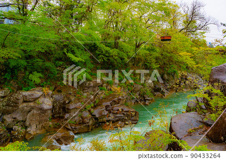 Genbikei (Ichinomiya City, Iwate Prefecture) 90433264