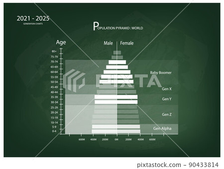 2021-2025 Population Pyramids Graphs with 5 Generation 90433814