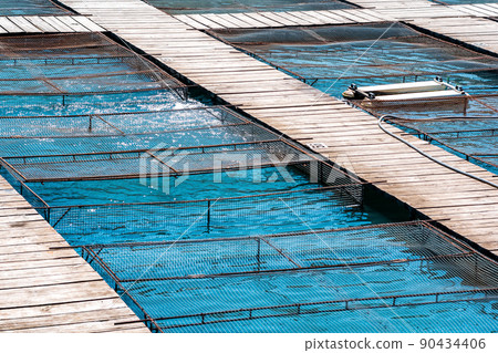 aquaculture installations with fish cages on a fish farm 90434406