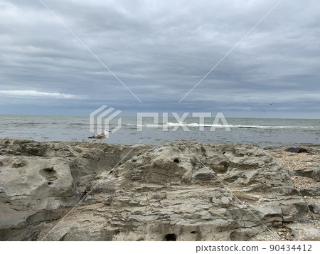 a seagull stands on a rock in the sea and a seagull stands on a rock in the sea and 90434412