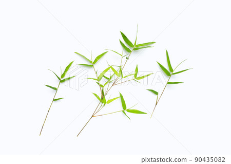 Bamboo leaves on white background. 90435082