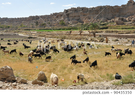 伊朗 Izadkhast Caravanserai 廢墟羊群 90435350