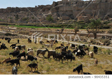 Iran Izadkhast Caravanserai Ruins Sheep Flock 90435351
