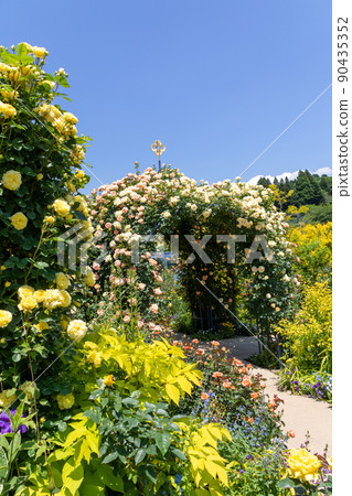 Nakanojo Gardens Rose Garden 90435352