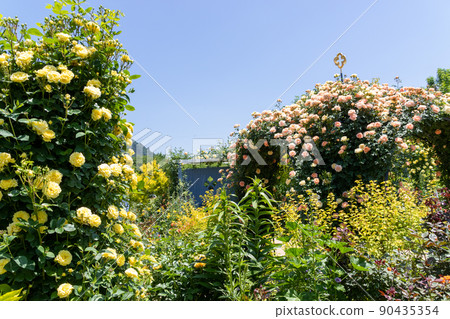Nakanojo Gardens Rose Garden 90435354
