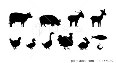 Meat symbols set for product packaging label design, butchery shop, menu in restaurant. Vector stock illustration isolated on white background. EPS10 Meat symbols set for product packaging label design, butchery shop, menu in restaurant. Vector stock illustration isolated on white background. EPS10 90436029