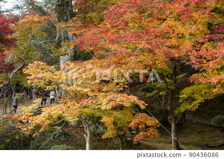 autumn autumn 90436086