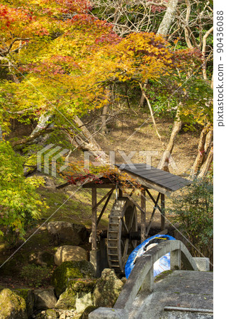 Autumn in Ozekiyama Park 90436088
