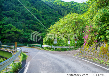 Arima Dam, Lake Naguri, Lakeside, Shiratani Bridge, Bonooreyama Trailhead, Fresh Green Landscape 90437960