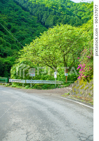 Arima Dam Naguri Lake Lakeside Bonooreyama Trailhead Fresh green scenery 90437977