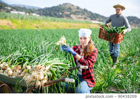 Positive worker harvesting green onion in garden 90438209