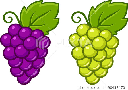 Cartoon red and white grape illustration 90438470
