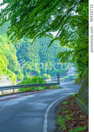 Arima Dam, Lake Naguri, Lakeside Circular Road, Spring, Fresh Green Landscape 90438710