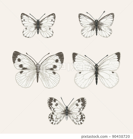 Set with white butterflies 90438720