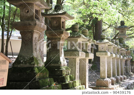 Scenery of Kasuga Taisha Shrine in Nara with Kaoru Wakaba Scenery of Kasuga Taisha Shrine in Nara with Kaoru Wakaba 90439176