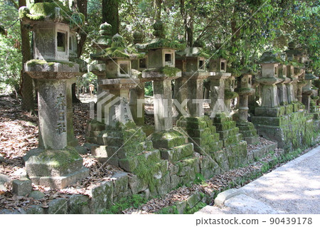 Scenery of Kasuga Taisha Shrine in Nara with Kaoru Wakaba Scenery of Kasuga Taisha Shrine in Nara with Kaoru Wakaba 90439178