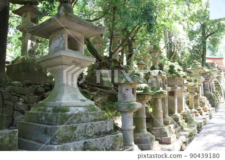 奈良春日大社風景與若葉薰 奈良春日大社風景與若葉薰 90439180