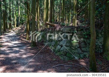 Japan's No. 1 Yamashiro Yamato Takatori Castle Ruins 90439581