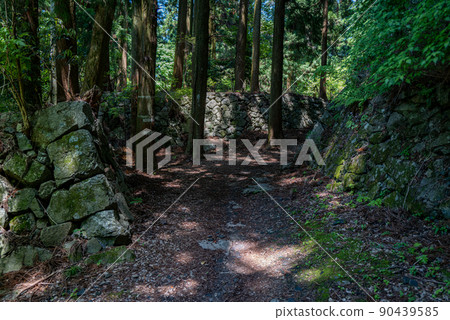 Japan's No. 1 Yamashiro Yamato Takatori Castle Ruins Japan's No. 1 Yamashiro Yamato Takatori Castle Ruins 90439585