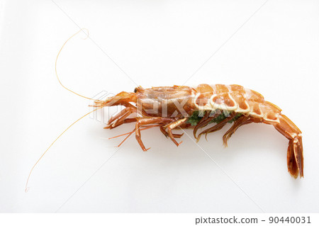 Gas shrimp, Sclerocrangon reticulum, mud grass, miscellaneous fish shrimp Gas shrimp, Sclerocrangon reticulum, mud grass, miscellaneous fish shrimp 90440031