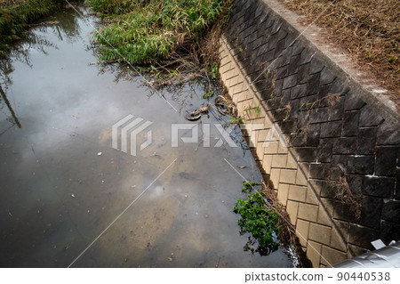 river, bicycle, bike 90440538