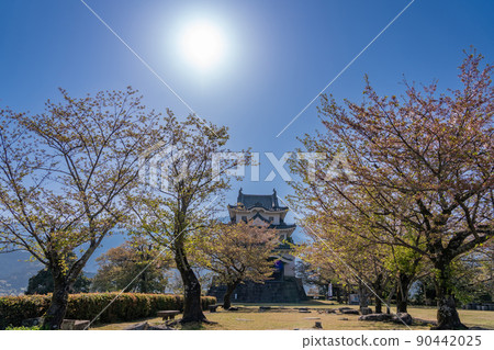 Uwajima City, Ehime Prefecture Morning castle tower of Uwajima Castle Uwajima City, Ehime Prefecture Morning castle tower of Uwajima Castle 90442025