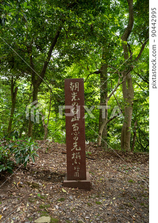 [石川縣]白山姬神社 90442995